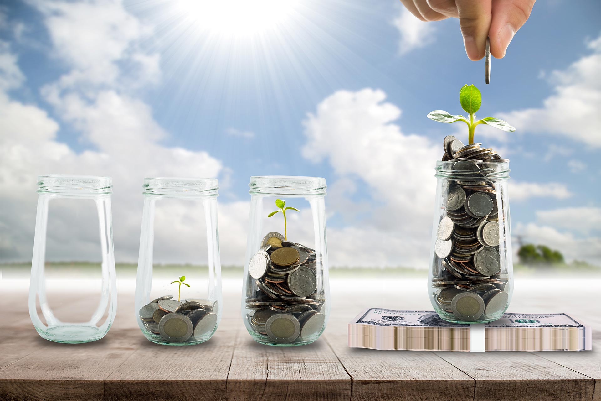 Ertragreiches Einkaufen